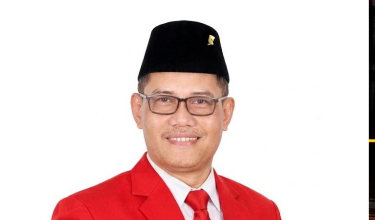 Pdip1